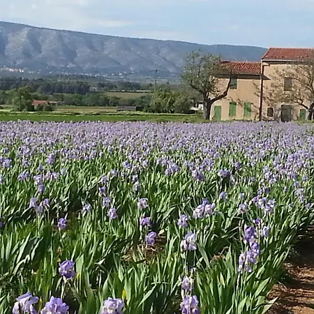 Maison Proche D'aix-en-provence *